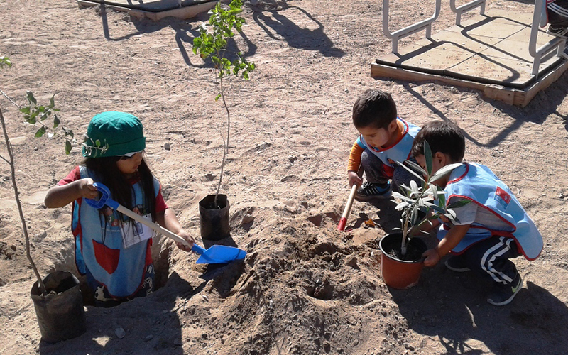 Párvulos plantan árboles para abuelitos de Diego de Almagro