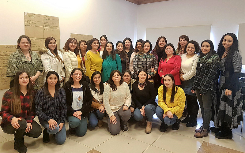 Educadoras y técnicos de Los Ríos se capacitaron en neuroeducación