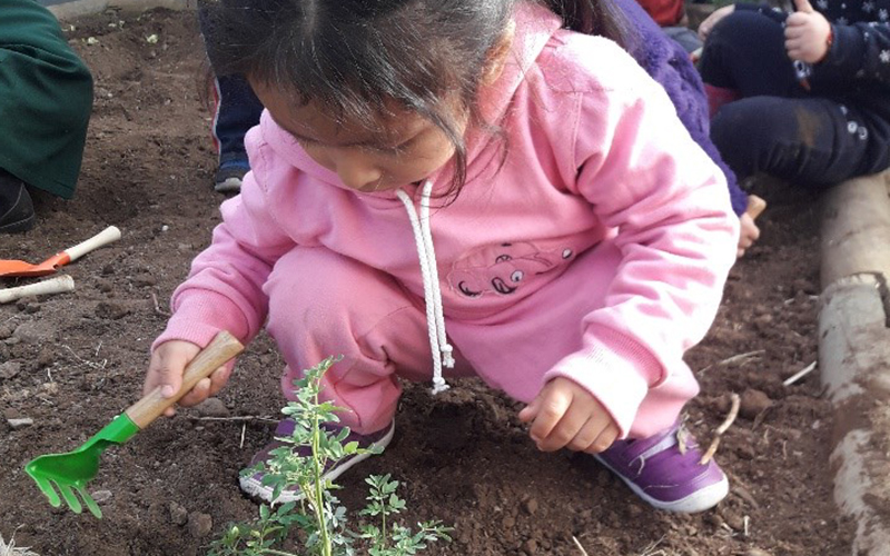 Junji siembra el futuro vinculando a niñas y niños con el medio ambiente