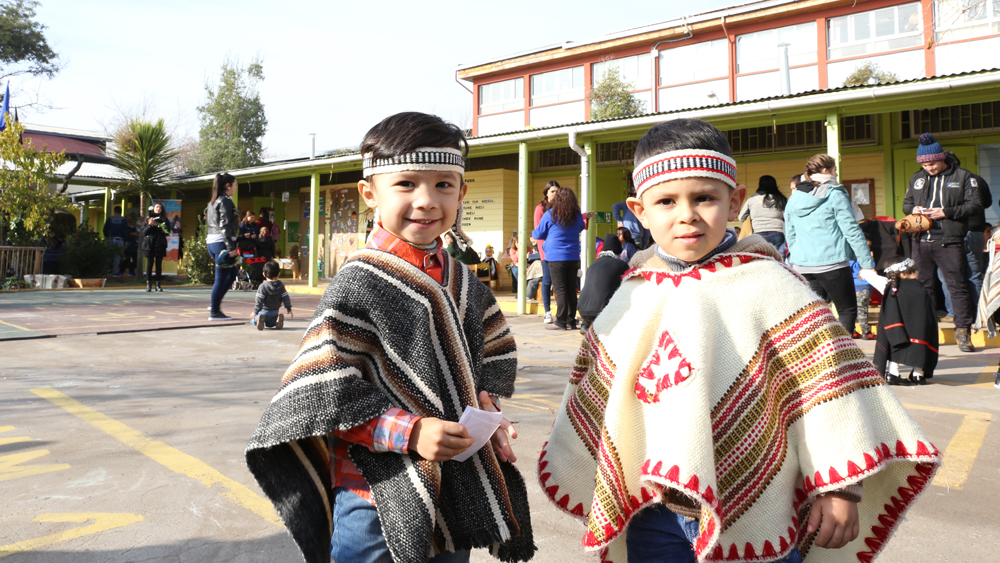 Lanzan libros infantiles sobre la pandemia traducidos al aymara, mapudungun y rapa nui