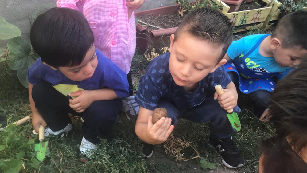 Párvulos quilpueínos aprenden al aire libre gracias a proyecto Naturalizar