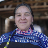 Noris Quidel  - <b>ELCI Mapuche en Cautín</b>