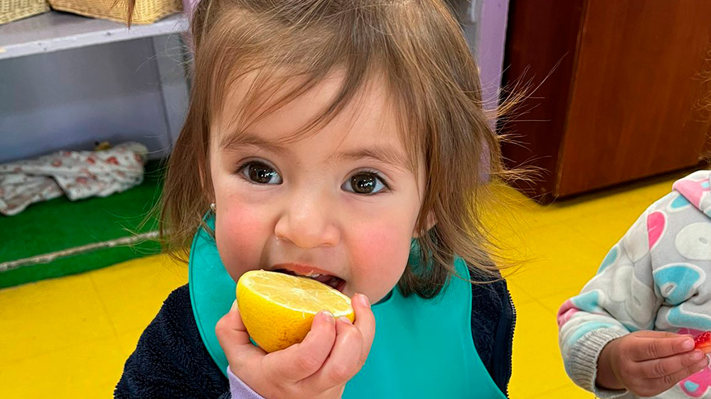 Probar un limón y tocar frutas se convierte en potente  actividad pedagógica en jardín infantil de la JUNJI